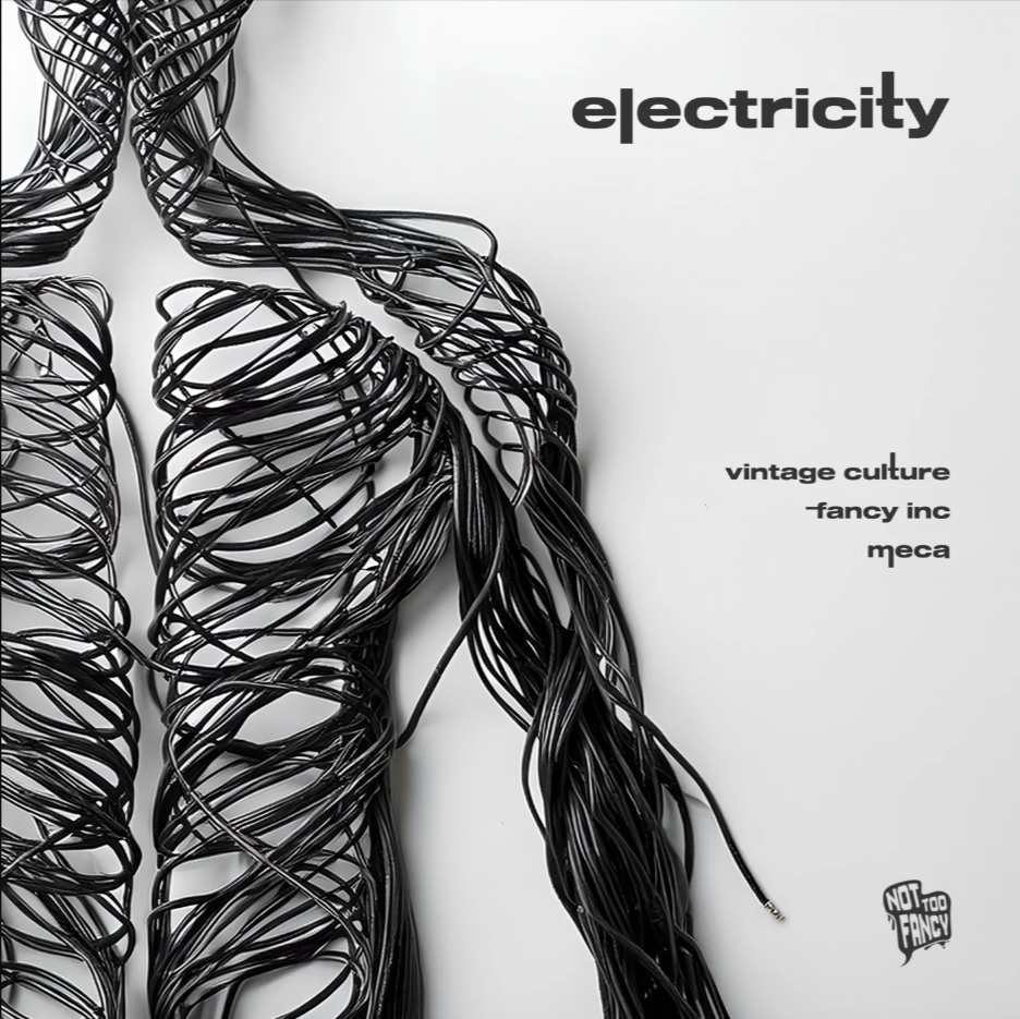 Vintage Culture, Fancy Inc, & Meca — Electricity cover artwork