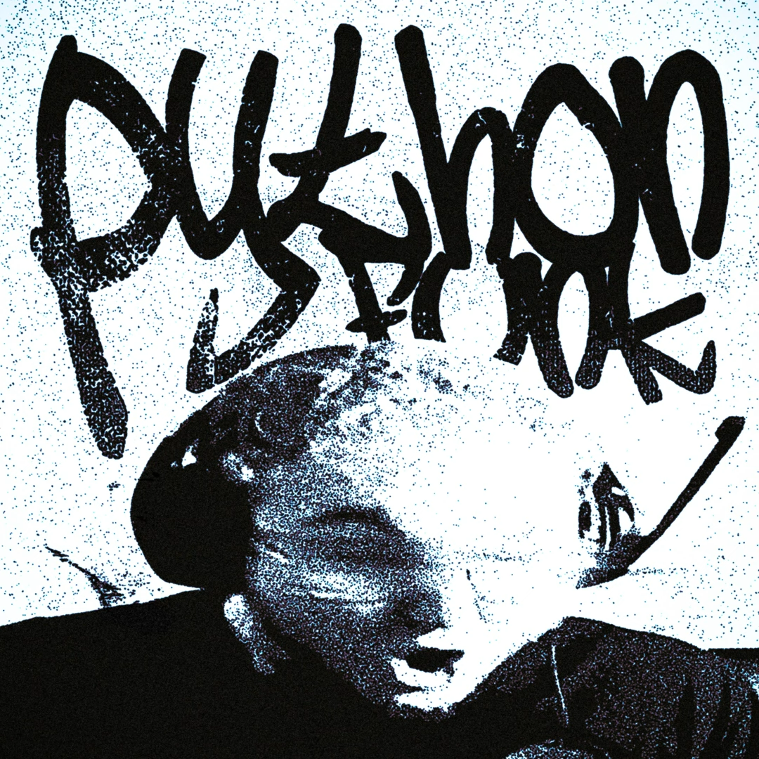 RD12 & Sayfalse — PYTHON FUNK cover artwork