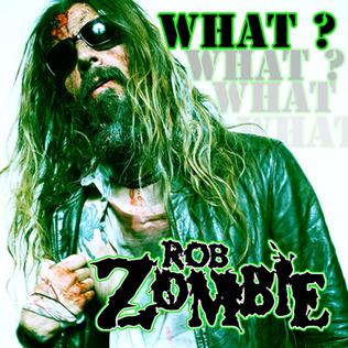 Rob Zombie — What? cover artwork