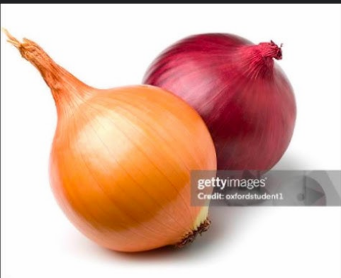 Joost & internetcafe247 — funny onion song cover artwork