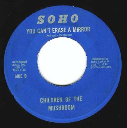Children of the Mushroom — You Can&#039;t Erase a Mirror cover artwork