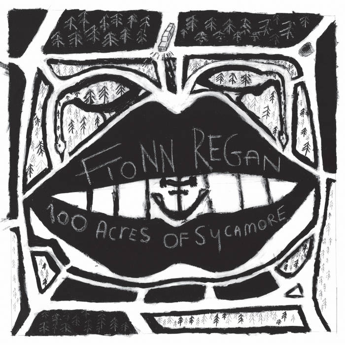 Fionn Regan — 1st day of May cover artwork