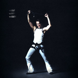 AIDAN Wild, Wild, Wild cover artwork