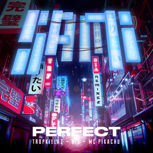 Sam i featuring Sia — Perfect - TRY Redux cover artwork