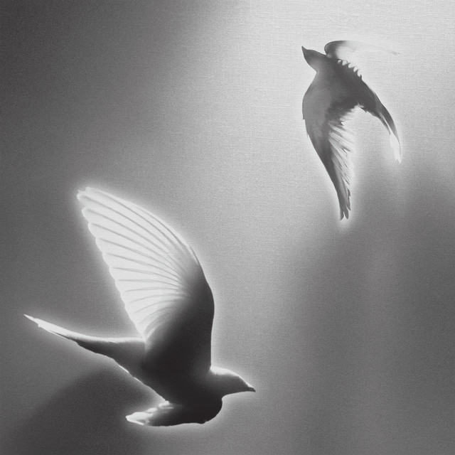 Hindia Doves, '25 on Blank Canvas cover artwork