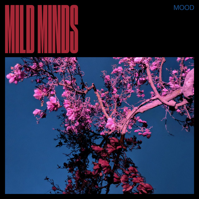 Mild Minds — WALLS cover artwork