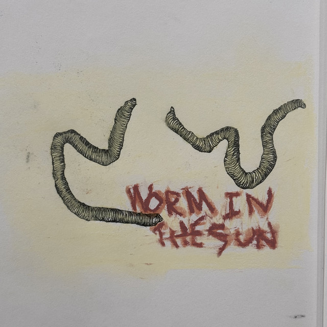 ALEXSUCKS — Worm In The Sun cover artwork
