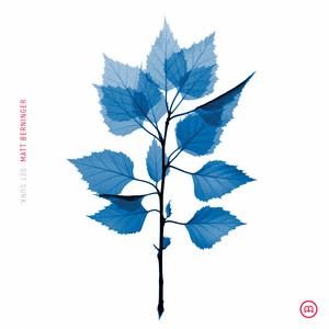 Matt Berninger — Bonnet Of Pins cover artwork