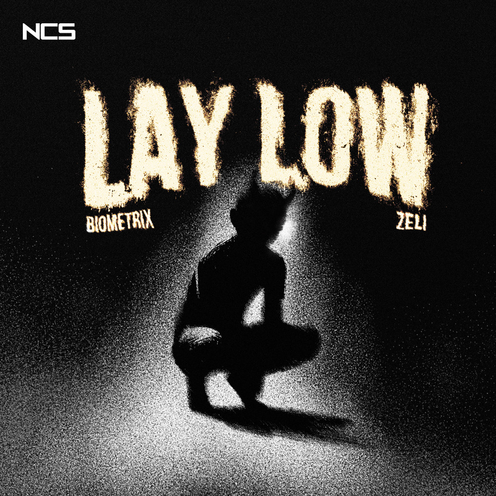 Biometrix & Zeli — Lay Low cover artwork