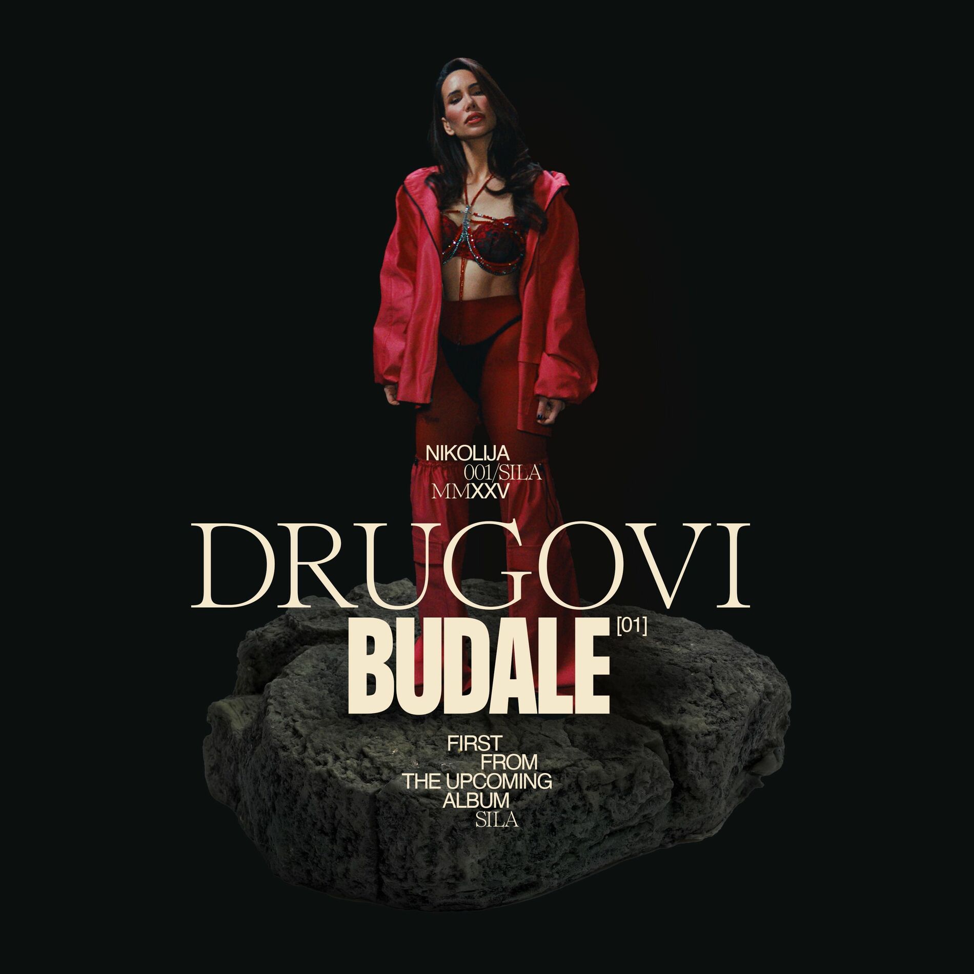 Nikolija — Drugovi Budale cover artwork