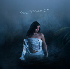 Sofia Camara Was I(t) Worth It? cover artwork