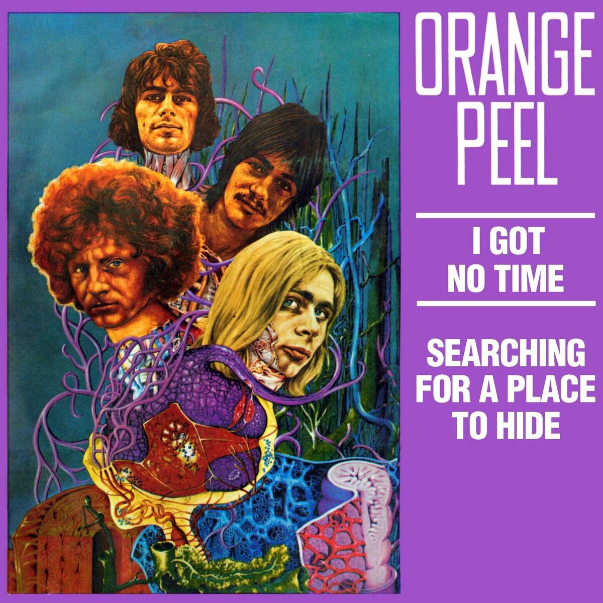 Orange Peel — I Got No Time cover artwork