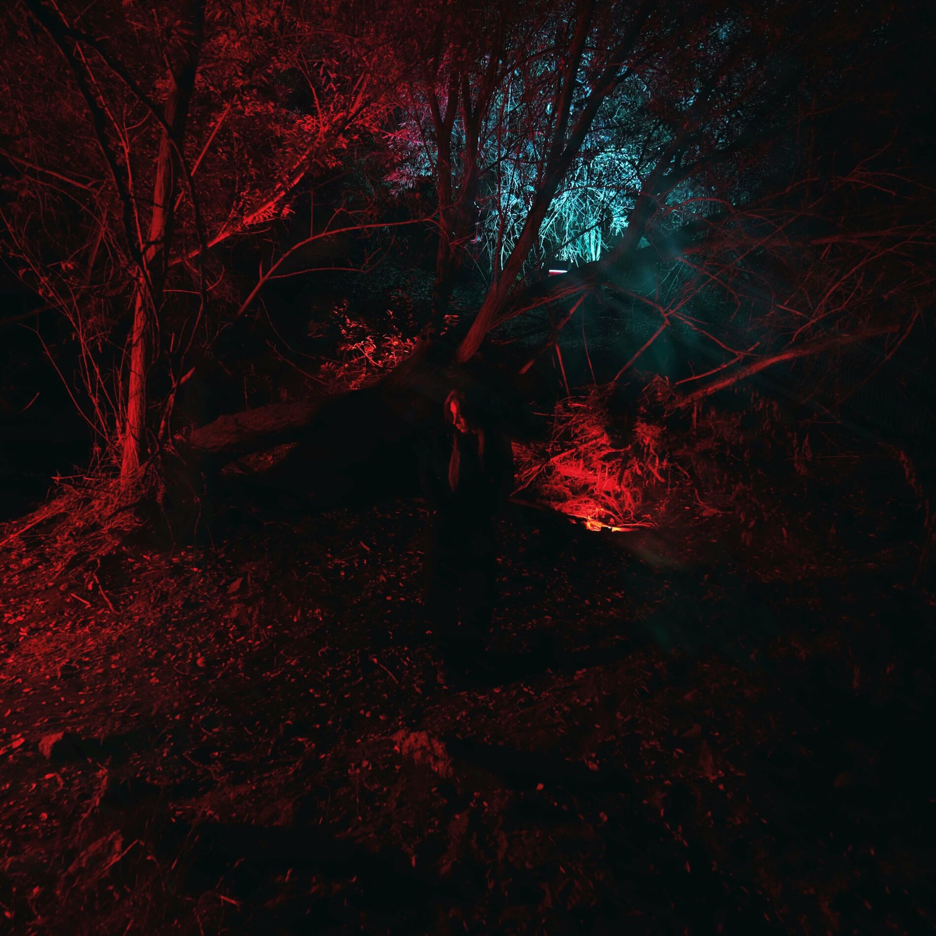 Kami Kehoe — KAMELEON cover artwork