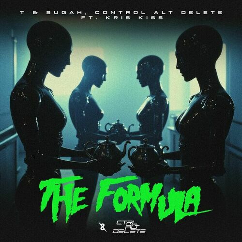 T &amp; Sugah & CONTROL ALT DELETE featuring Kris Kiss — The Formula cover artwork