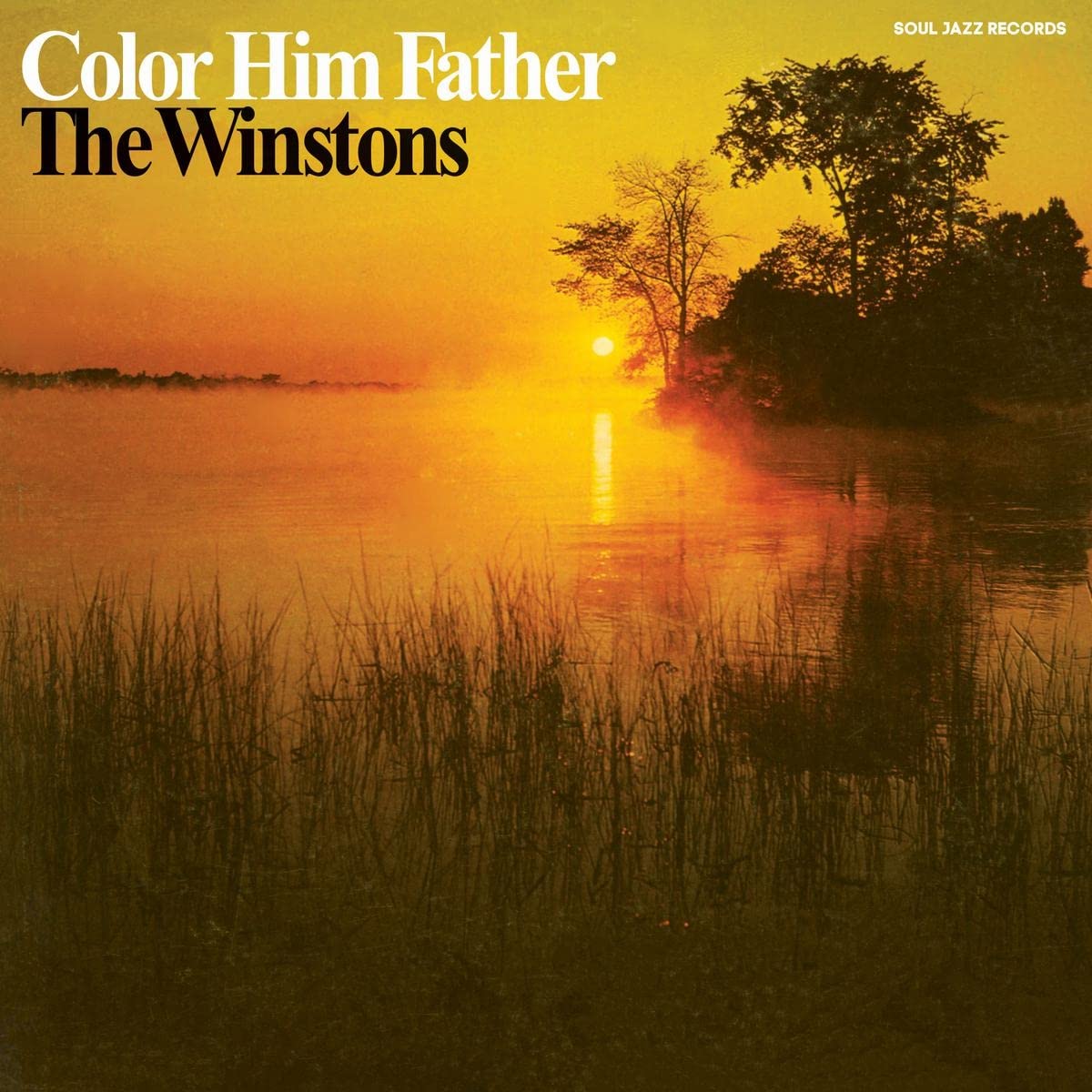 The Winstons Color Him Father cover artwork
