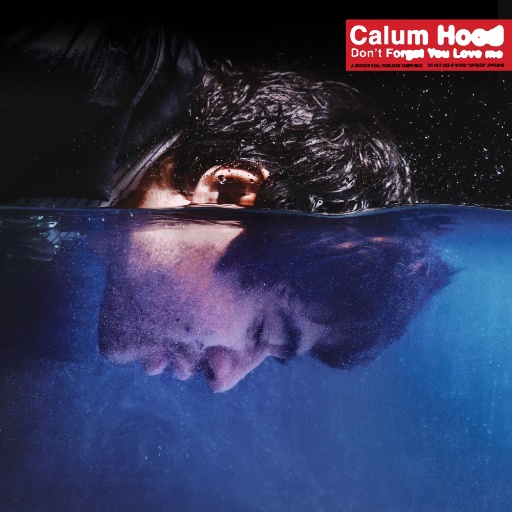Calum Hood — Don&#039;t Forget You Love Me cover artwork