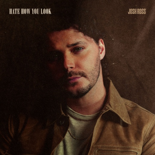 Josh Ross — Hate How You Look cover artwork