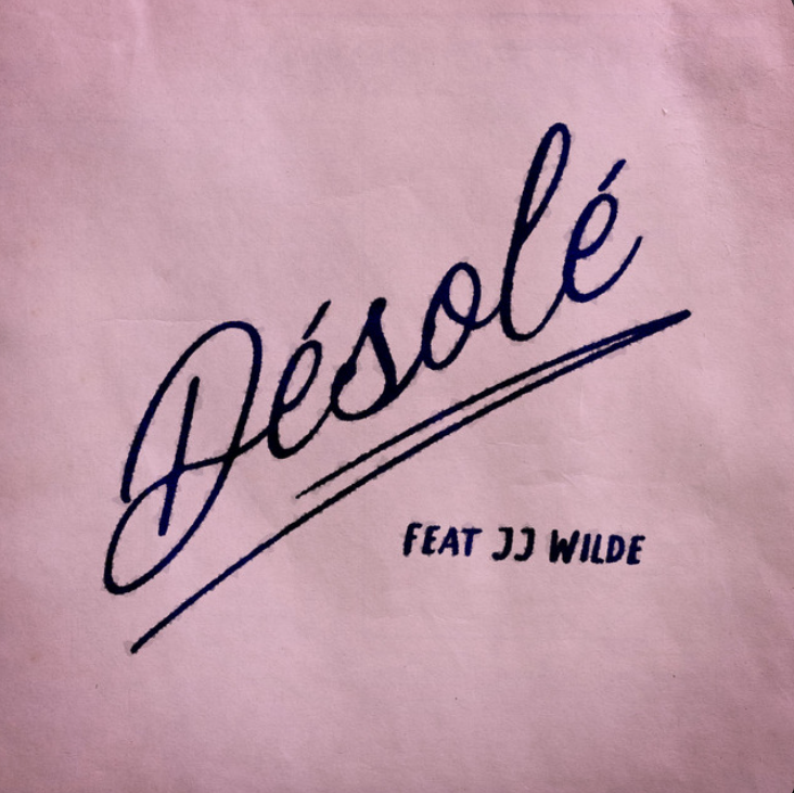 Storm Orchestra featuring JJ Wilde — Désolé cover artwork