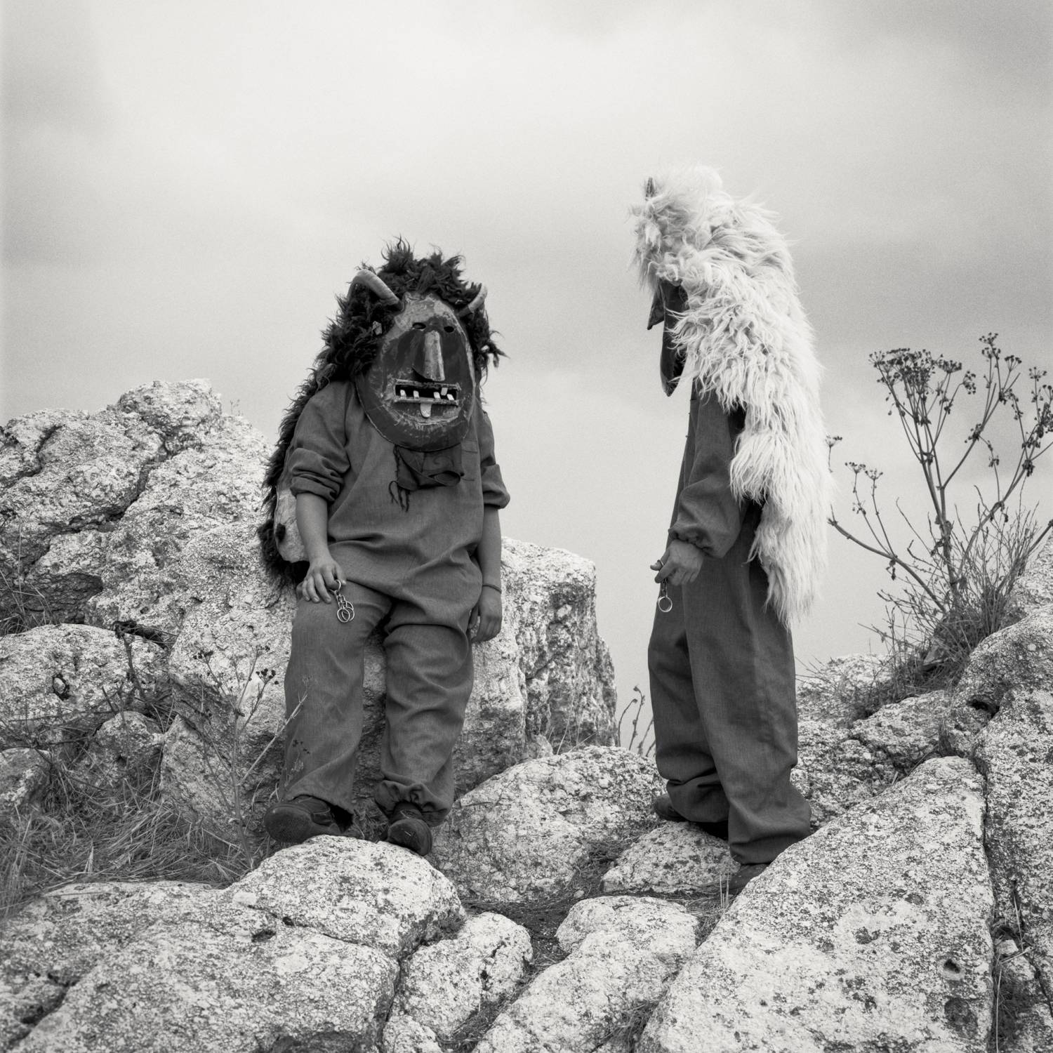 Black Foxxes The Haar cover artwork