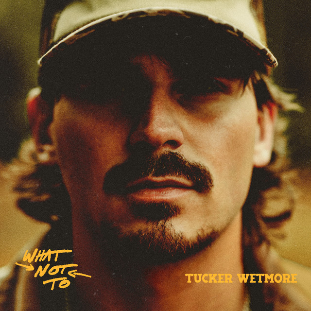 Tucker Wetmore What Not To cover artwork