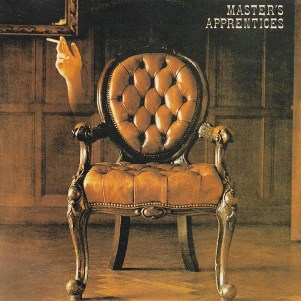 The Master&#039;s Apprentices — Because I Love You cover artwork