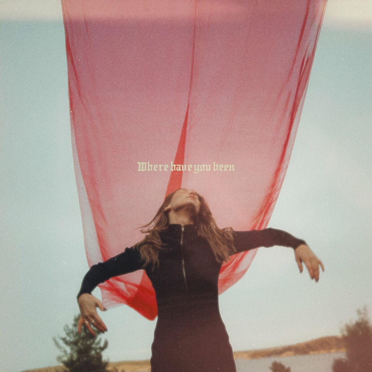 Nike Sellmar — Where Have You Been cover artwork