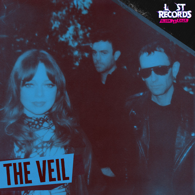 Ruth Radelet, Nat Walker, & Adam Miller — The Veil cover artwork