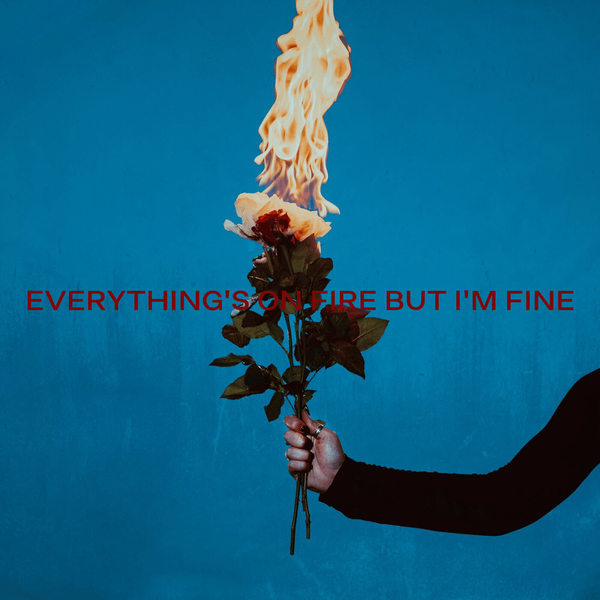 As December Falls Everything's On Fire But I'm Fine cover artwork