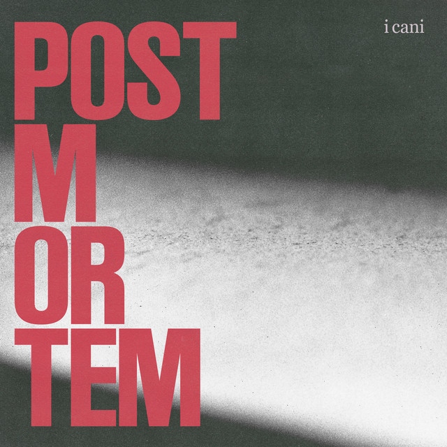 i cani — post mortem cover artwork