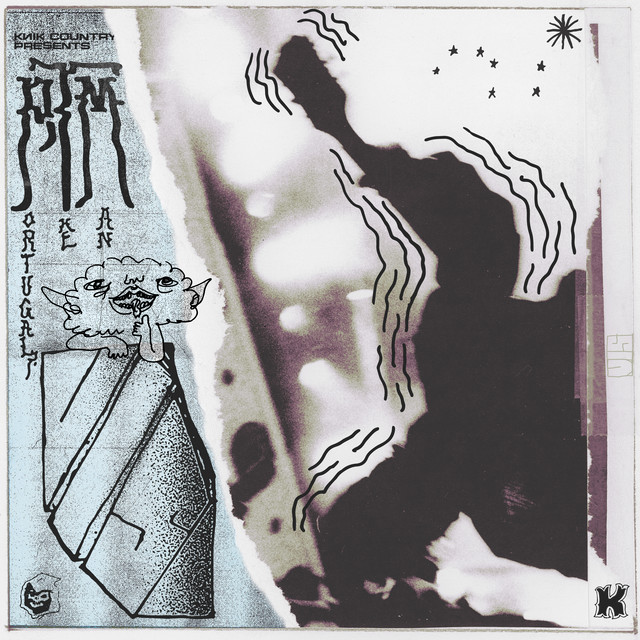 Portugal. The Man — V.I.S. cover artwork