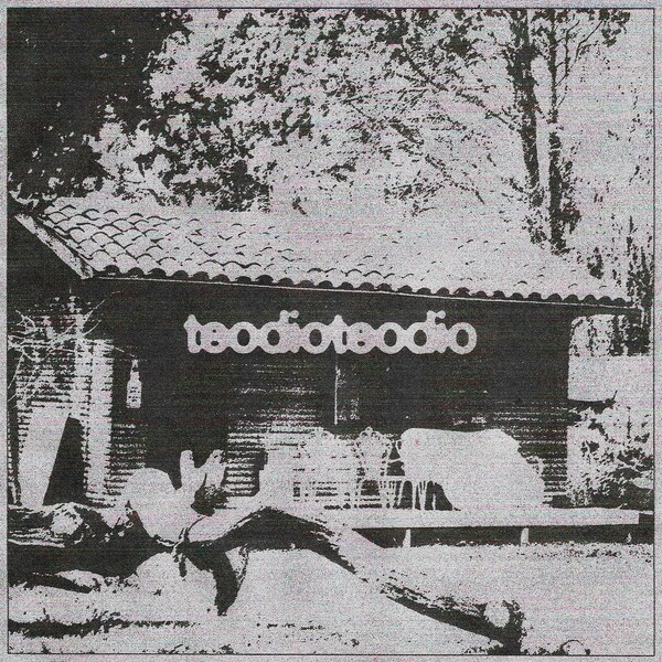 teodioteodeio — Catástrofe cover artwork