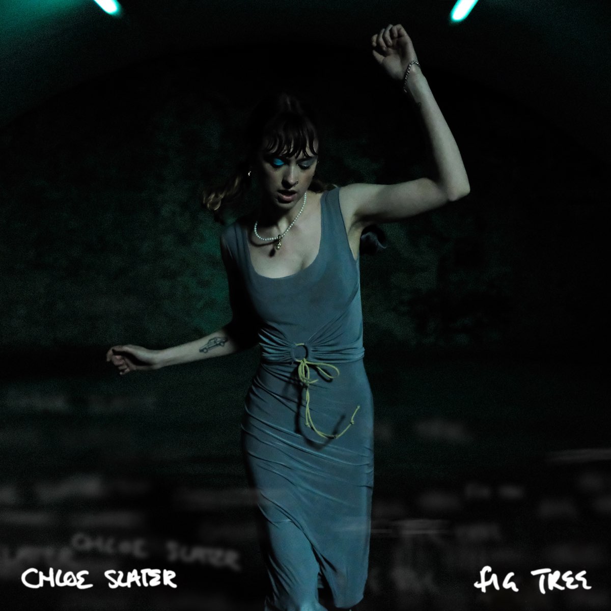 Chloe Slater — Fig Tree cover artwork