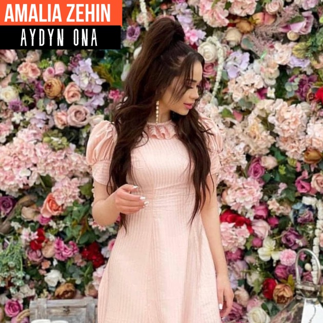 Amalia Zehin — Aydyn ona cover artwork