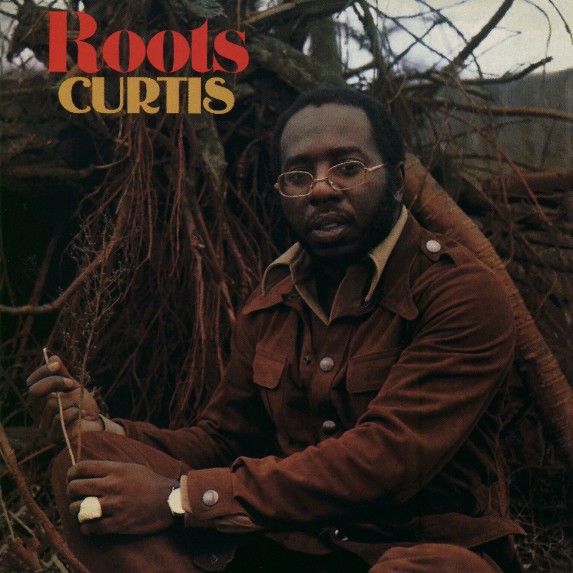 Curtis Mayfield Roots cover artwork