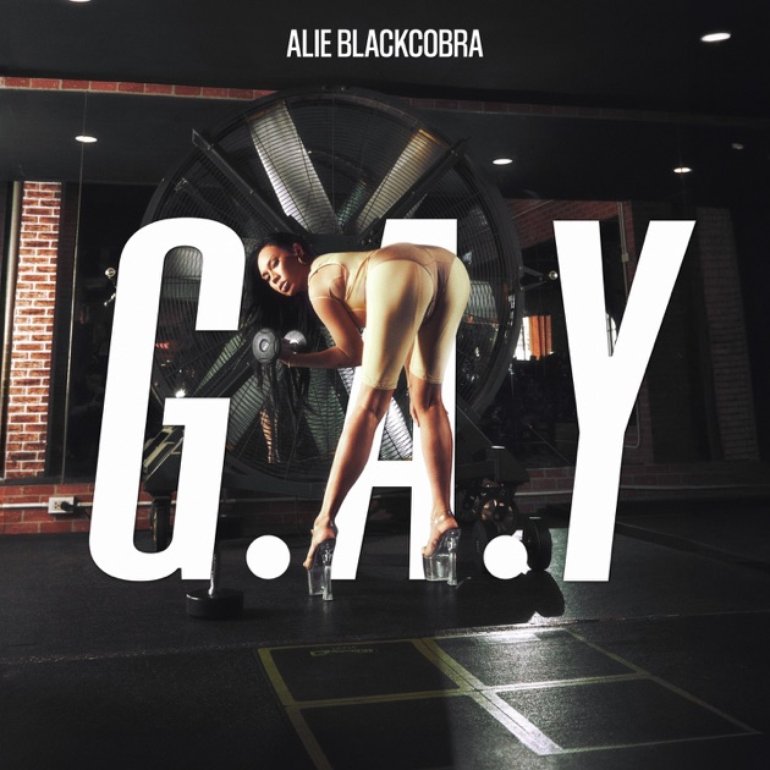 ALIE BLACKCOBRA — G.A.Y o(T^T)o cover artwork