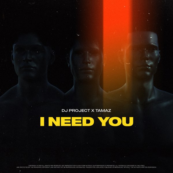 DJ Project & Tamaz — I Need You cover artwork