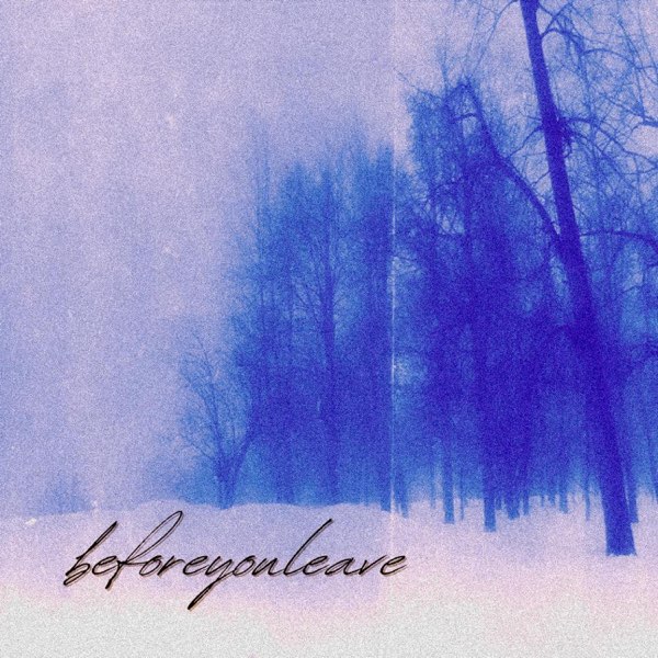 beforeyouleave — daniels song cover artwork