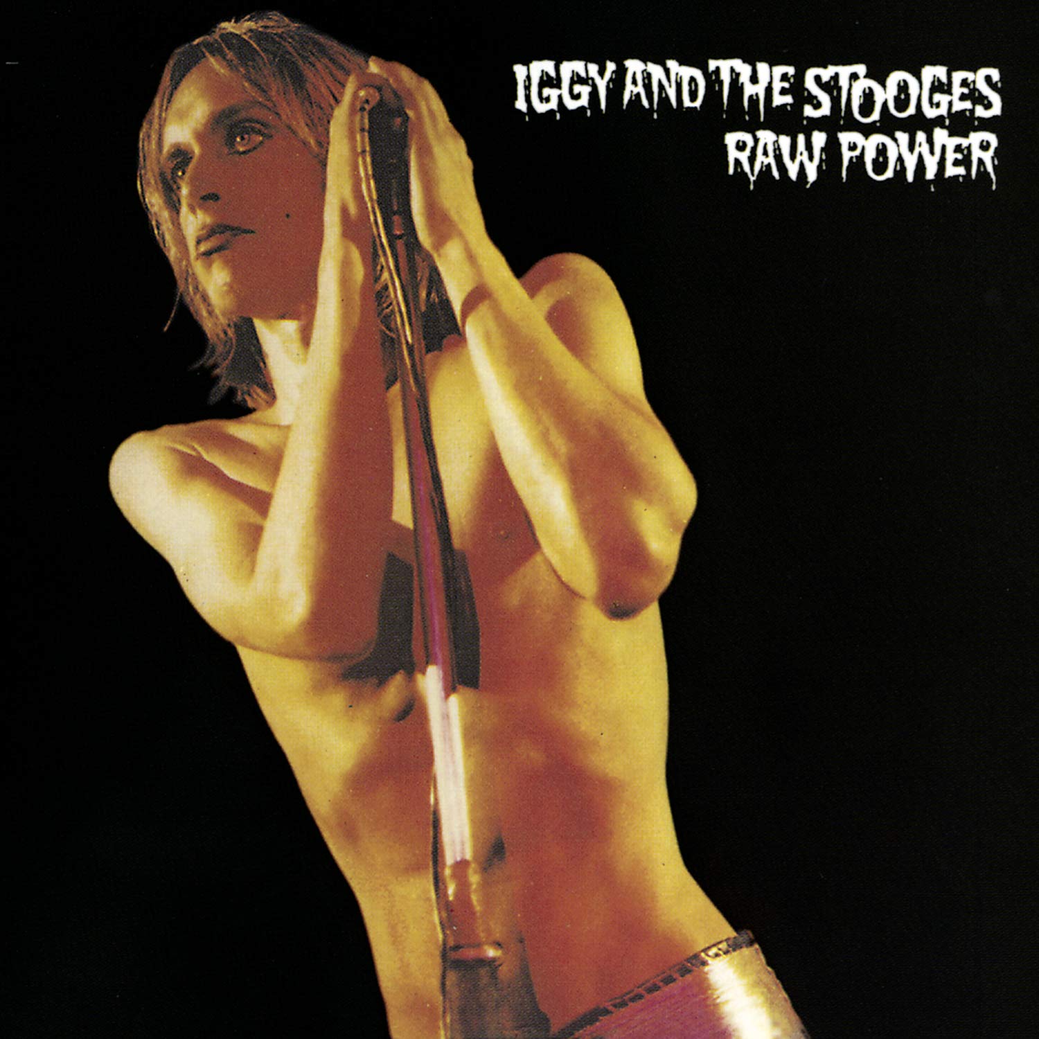 The Stooges Raw Power cover artwork