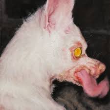 Cero Ismael AT LEAST SOMETHING IS PROTECTING YOU cover artwork