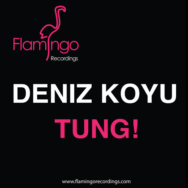 Deniz Koyu — Tung! cover artwork