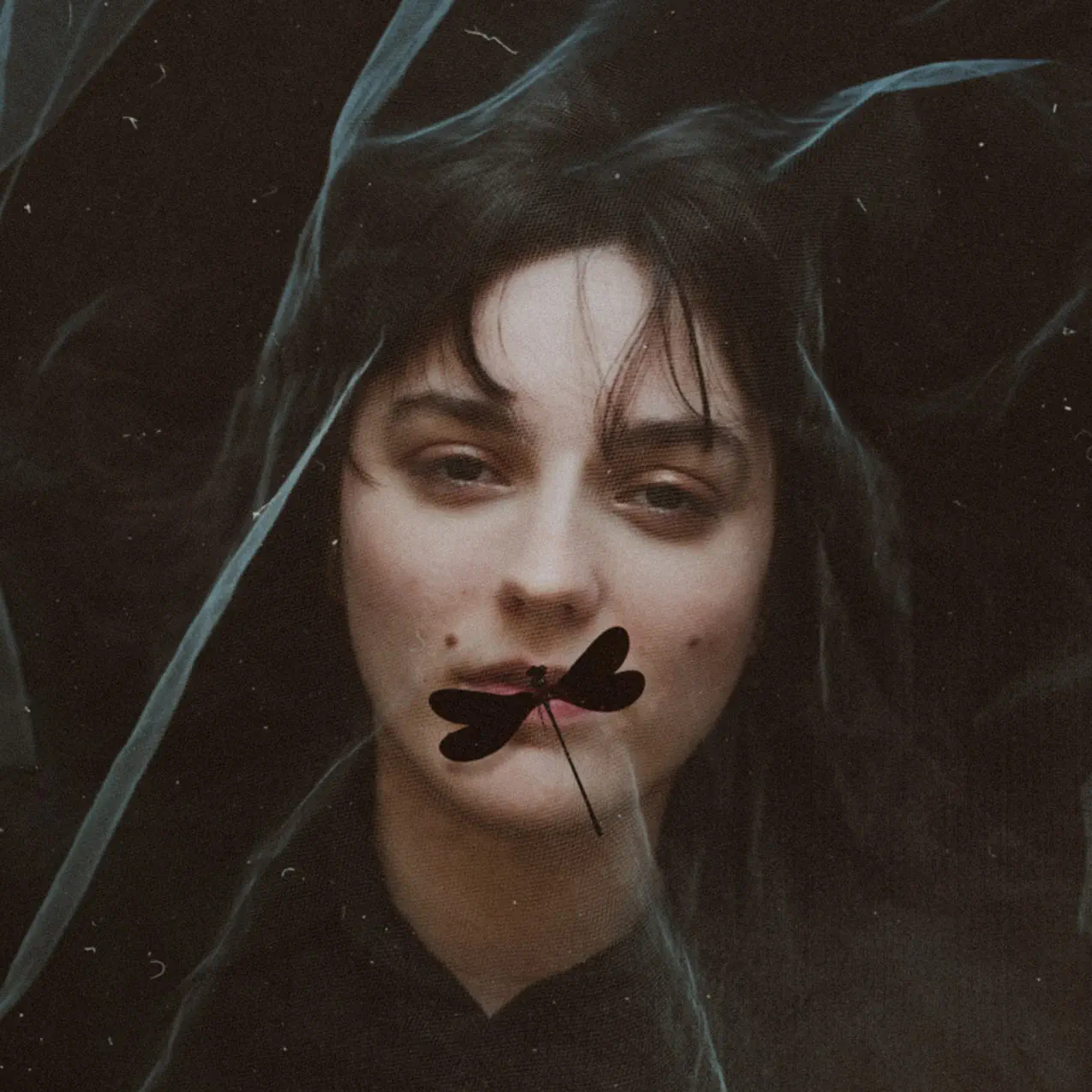 Daisy Bellis — Funny cover artwork