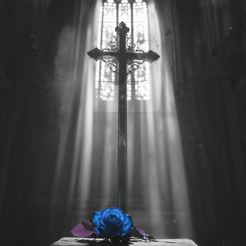 Ava Max — Lost Your Faith (SONIKKU Remix) cover artwork