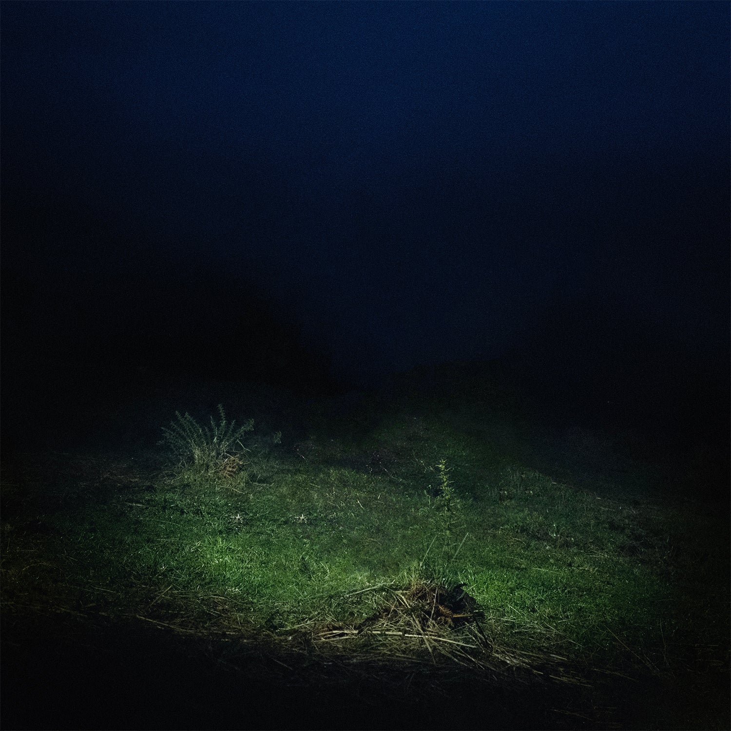 Sen Senra — Entrelazados cover artwork