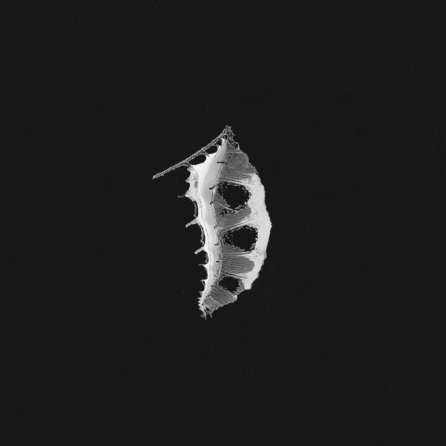 Soleima — Sidste År cover artwork