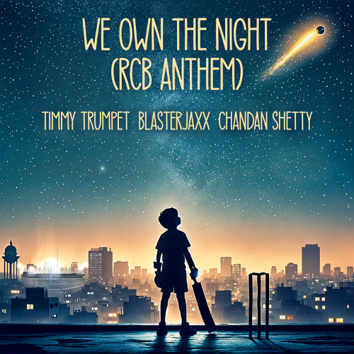 Timmy Trumpet, Blasterjaxx, & Chandan Shetty — We Own The Night cover artwork