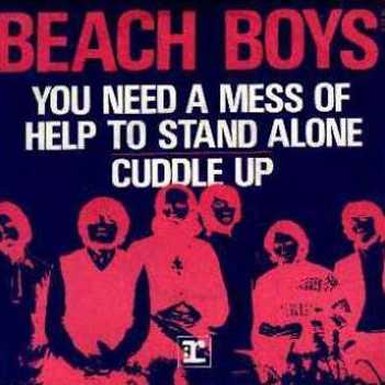 The Beach Boys — You Need a Mess of Help to Stand Alone cover artwork