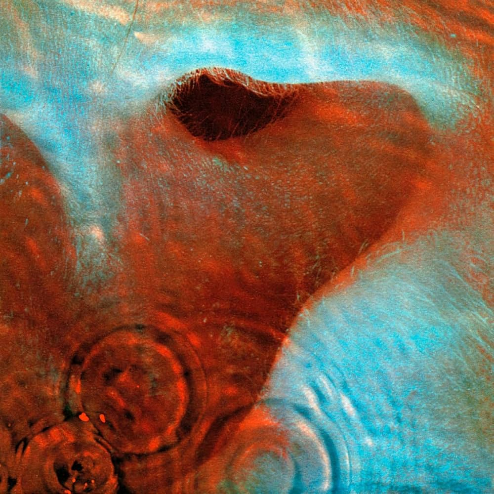 Pink Floyd — Fearless cover artwork