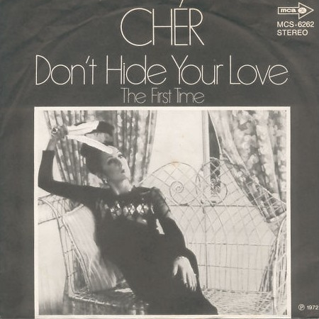 Cher — Don&#039;t Hide Your Love cover artwork