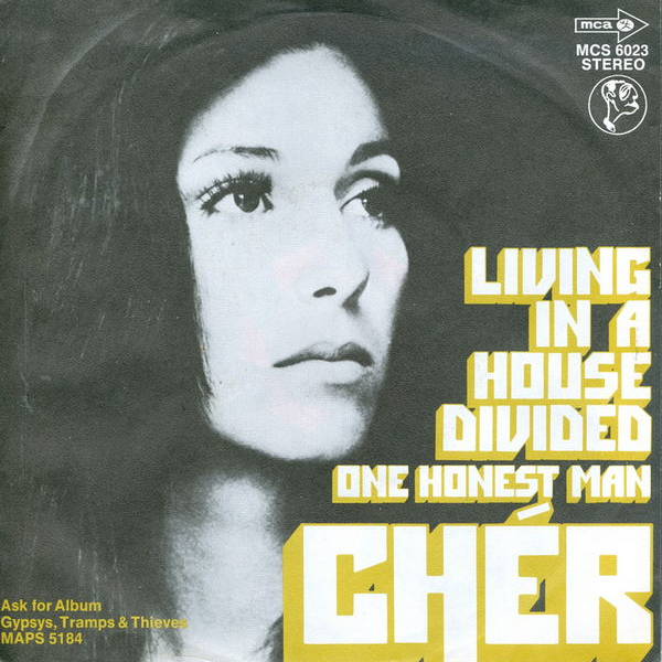 Cher — Living in a House Divided cover artwork