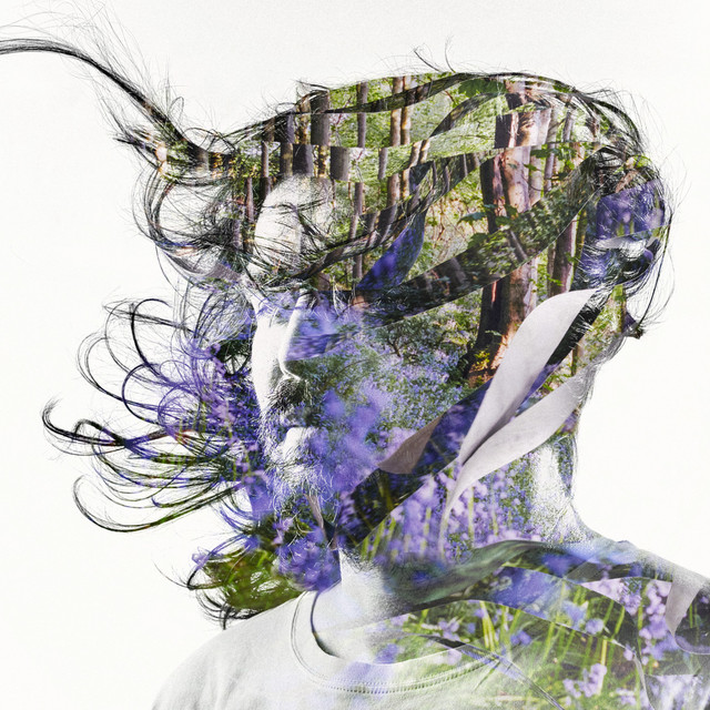 Bibio Ribbons cover artwork